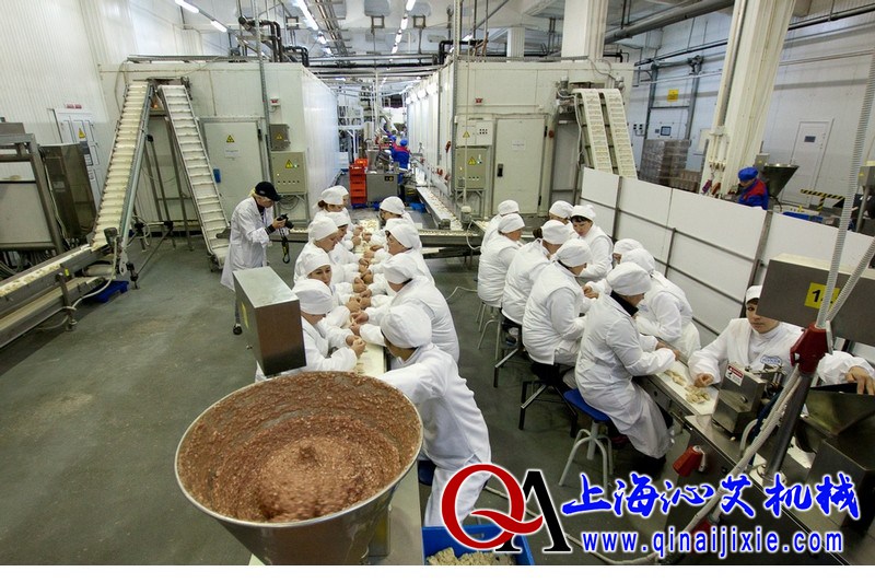速凍水餃生產(chǎn)線 速凍水餃生產(chǎn)線
